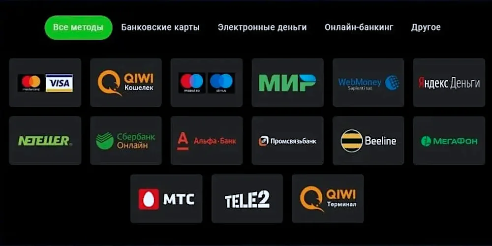 Платежные методы с быстрыми выплатами